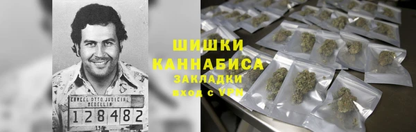 ГАЛЛЮЦИНОГЕННЫЕ ГРИБЫ Дмитровск