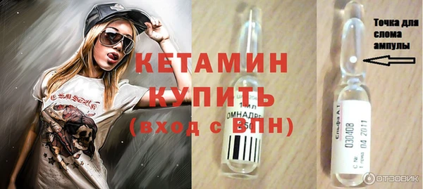 СК Дмитров