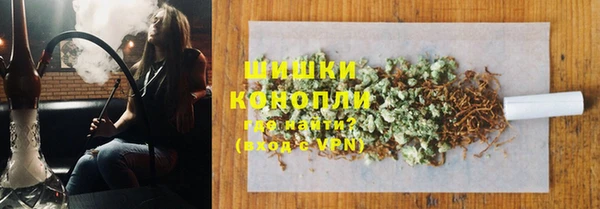 СК Дмитров