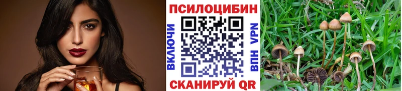 Псилоцибиновые грибы прущие грибы  Пестово 